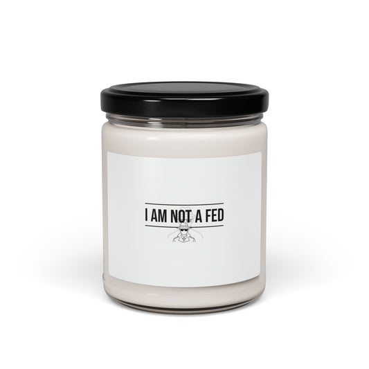 I Am Not A Fed Candle, Soy Candle | Sarcastic Introvert, Anxiety Humor