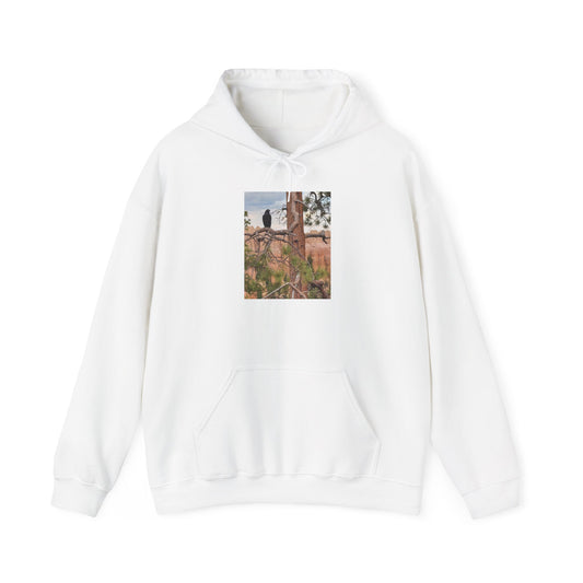Desert Ruins Photo Hoodie — Vintage Canyon Landscape Pullover