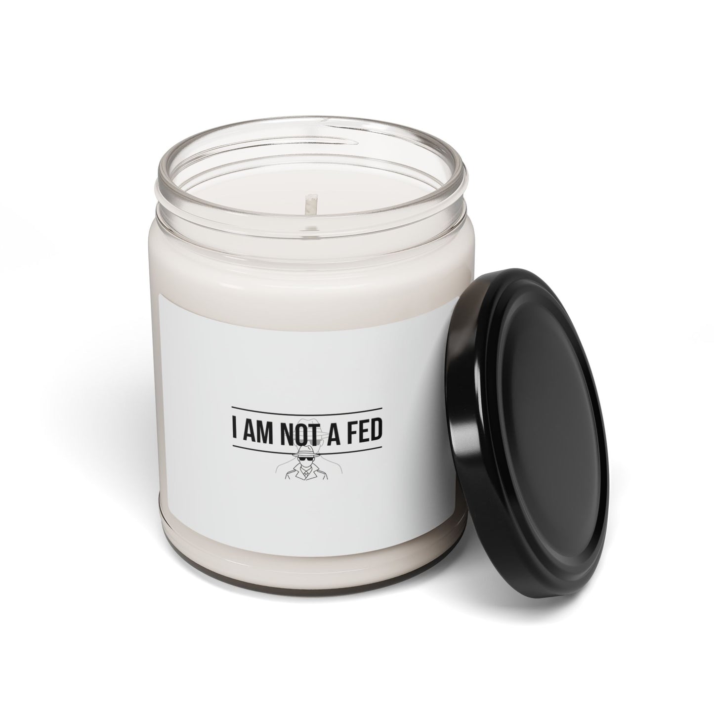 I Am Not A Fed Candle, Soy Candle | Sarcastic Introvert, Anxiety Humor