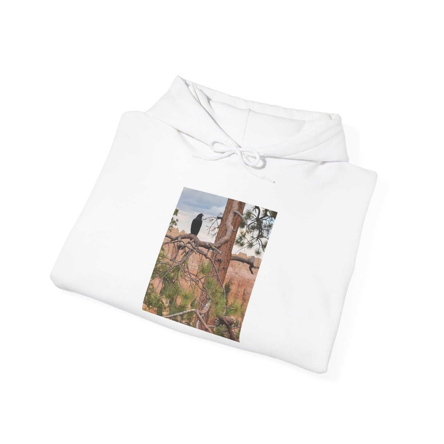 Desert Ruins Photo Hoodie — Vintage Canyon Landscape Pullover