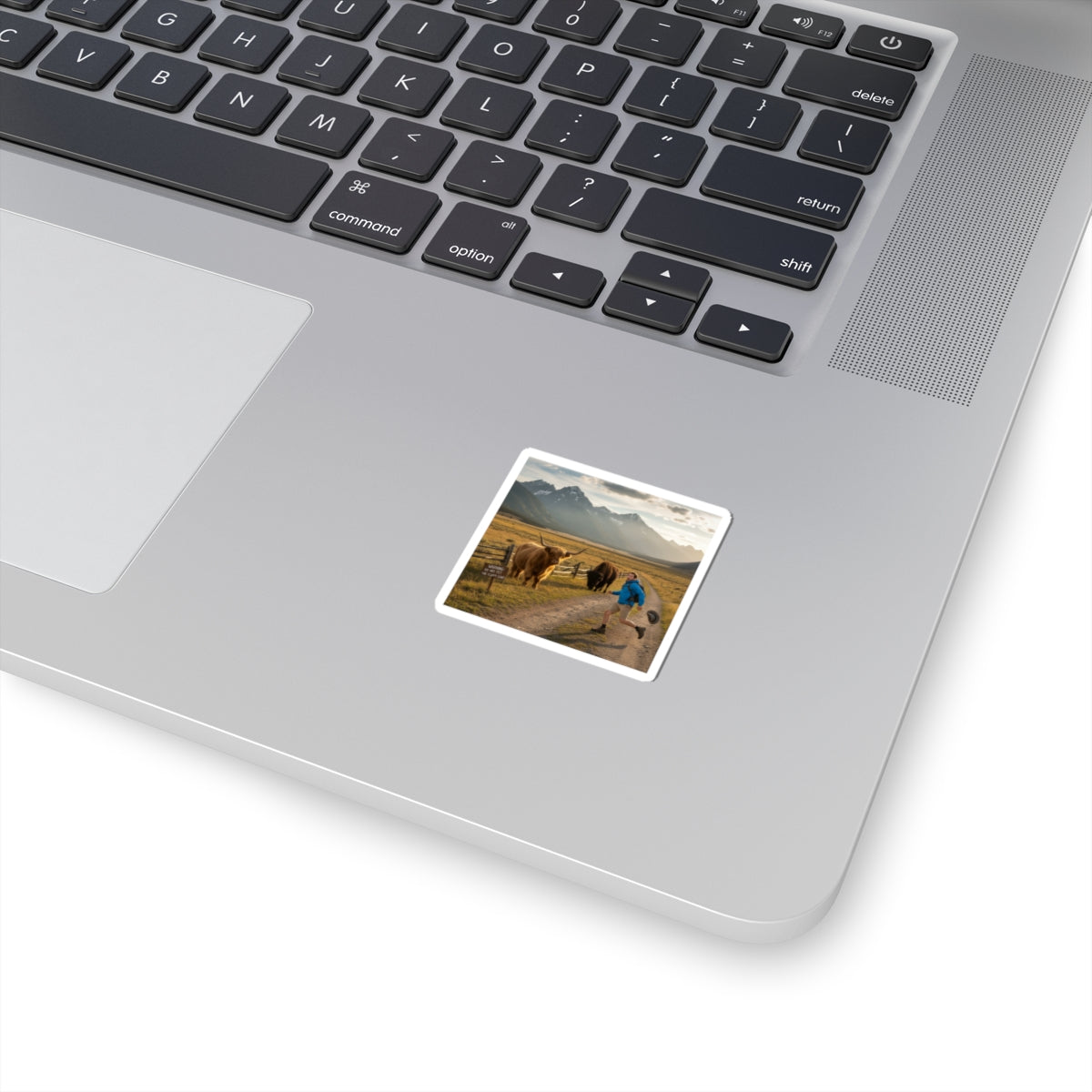chased by buffalo | Cute Sarcasm, Soft Humor Decal