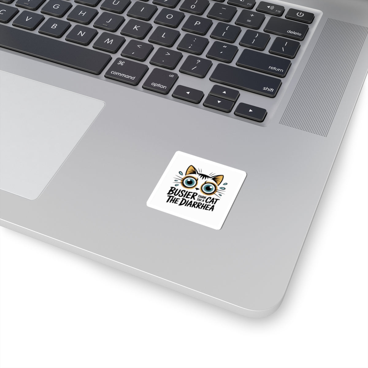Funny cat stickers