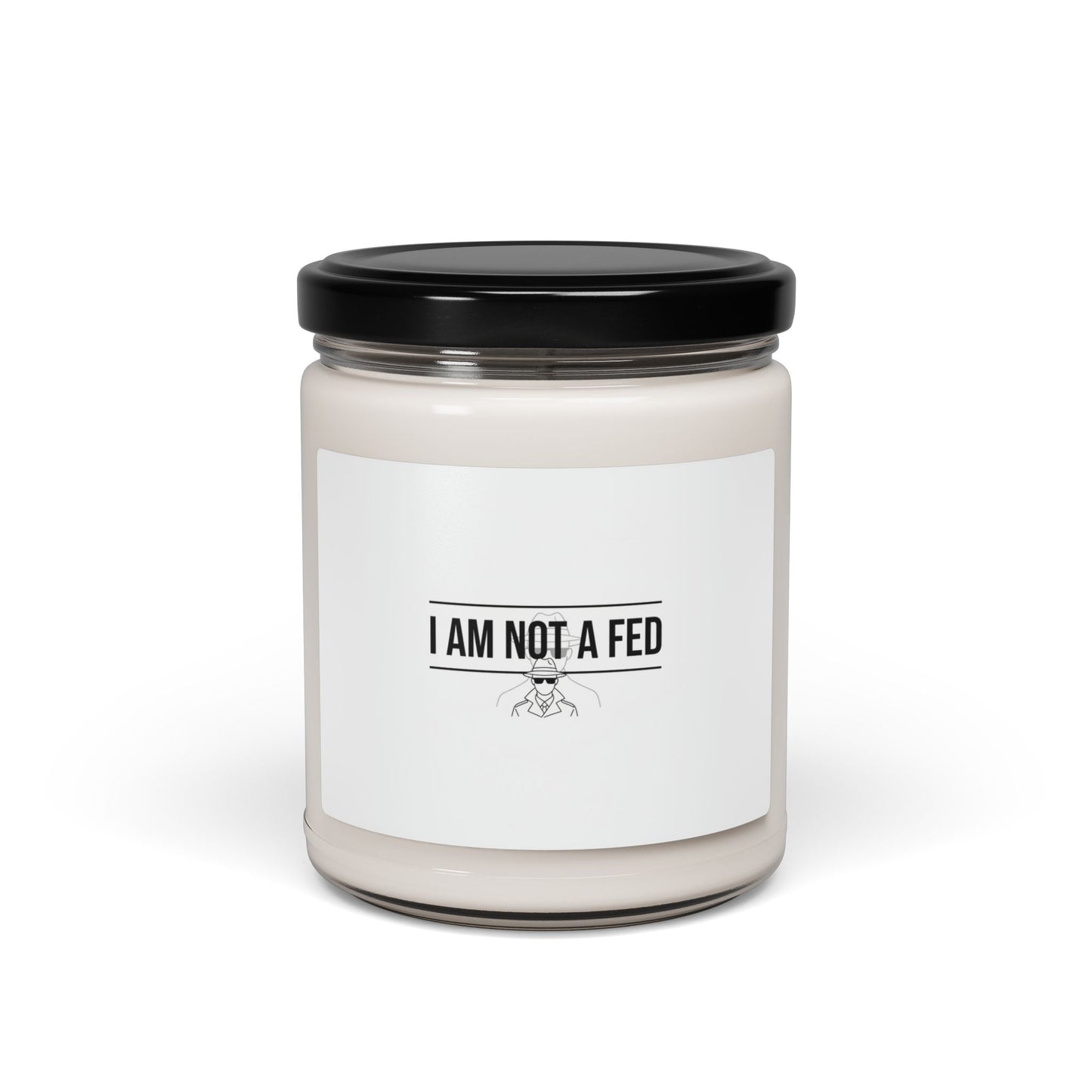 I Am Not A Fed Candle, Soy Candle | Sarcastic Introvert, Anxiety Humor